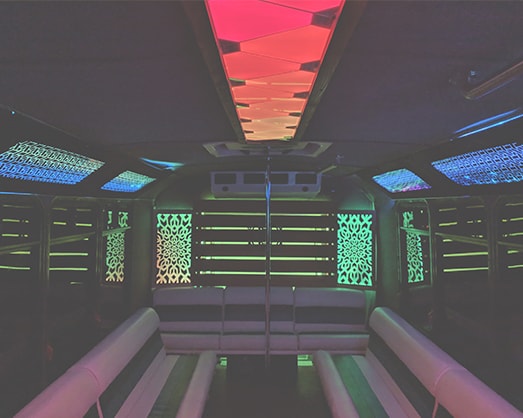 23 passenger Party Bus